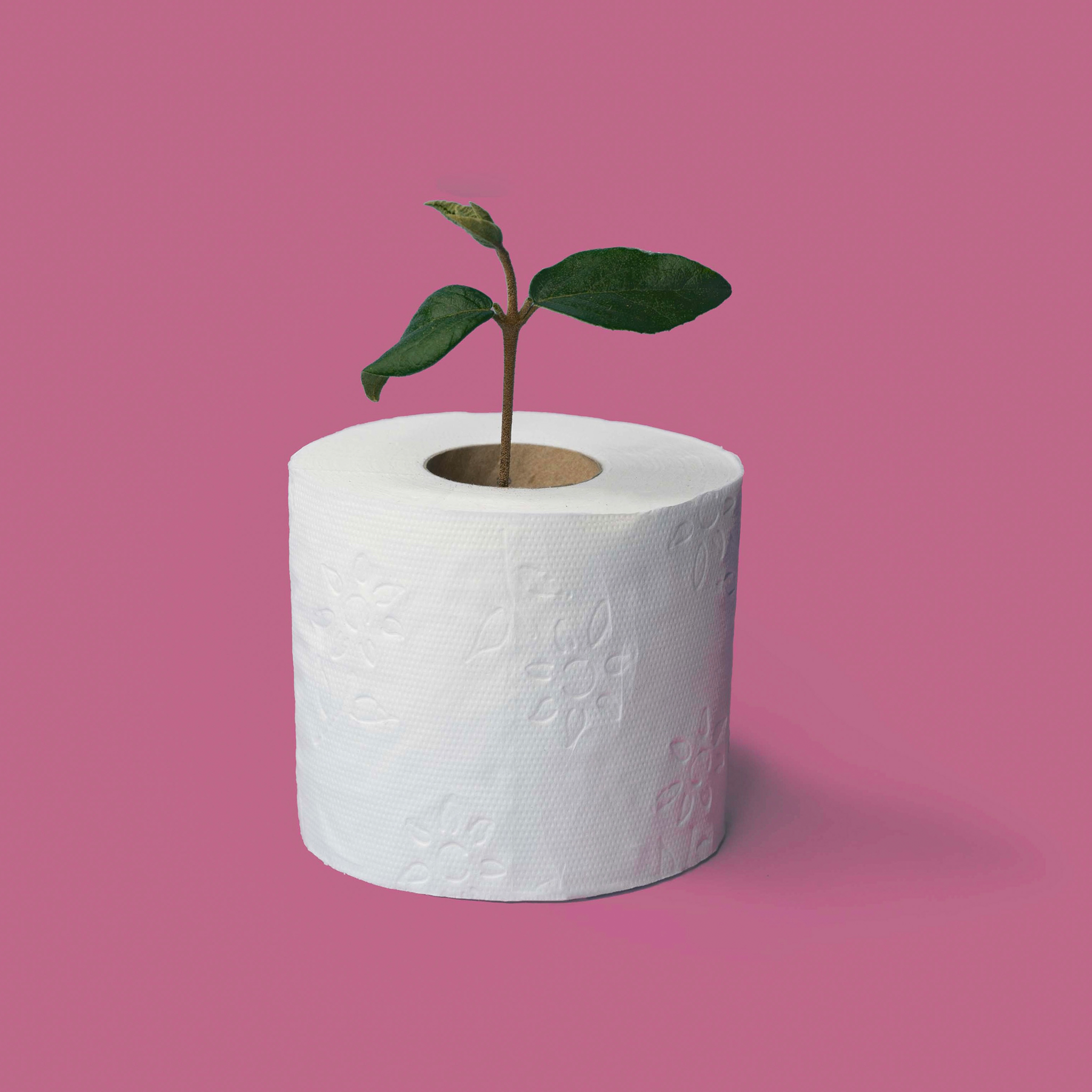 56 Rollen, ROOSA® Toilettenpapier, XXL Supersoft, 250 Blatt, Weiss